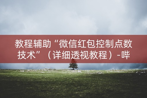 教程辅助“微信红包控制点数技术”（详细透视教程）-哔哩哔哩