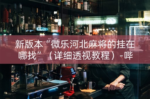 新版本“微乐河北麻将的挂在哪找”（详细透视教程）-哔哩哔哩