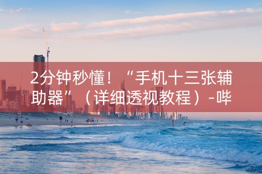 2分钟秒懂！“手机十三张辅助器”（详细透视教程）-哔哩哔哩