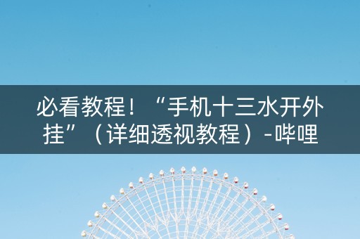 必看教程！“手机十三水开外挂”（详细透视教程）-哔哩哔哩