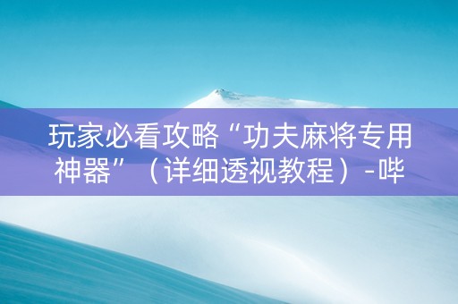 玩家必看攻略“功夫麻将专用神器”（详细透视教程）-哔哩哔哩