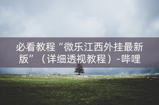 必看教程“微乐江西外挂最新版”（详细透视教程）-哔哩哔哩