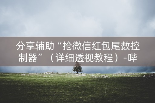 分享辅助“抢微信红包尾数控制器”（详细透视教程）-哔哩哔哩