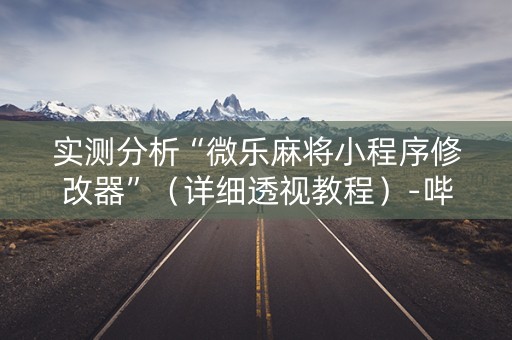 实测分析“微乐麻将小程序修改器”（详细透视教程）-哔哩哔哩