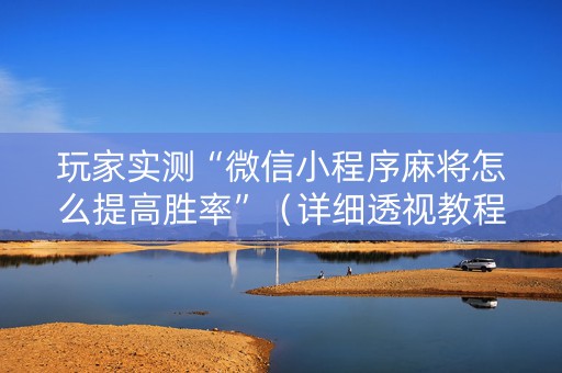 玩家实测“微信小程序麻将怎么提高胜率”（详细透视教程）-哔哩哔哩