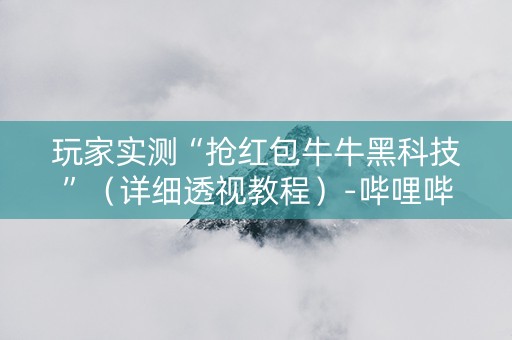玩家实测“抢红包牛牛黑科技”（详细透视教程）-哔哩哔哩