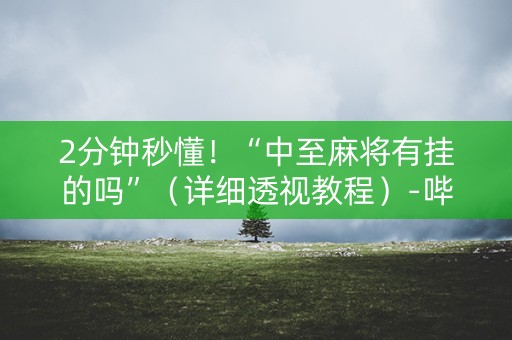 2分钟秒懂！“中至麻将有挂的吗”（详细透视教程）-哔哩哔哩