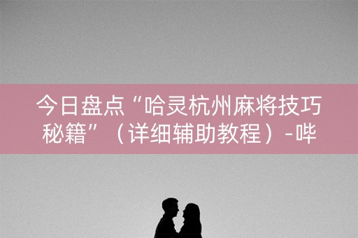 今日盘点“哈灵杭州麻将技巧秘籍”（详细辅助教程）-哔哩哔哩