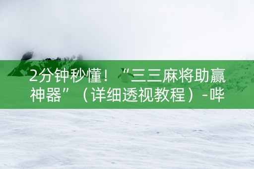 2分钟秒懂！“三三麻将助赢神器”（详细透视教程）-哔哩哔哩