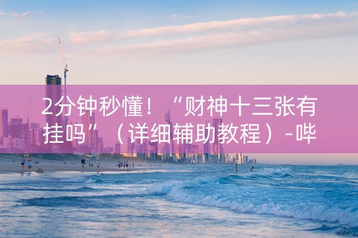 2分钟秒懂！“财神十三张有挂吗”（详细辅助教程）-哔哩哔哩