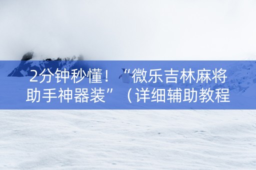 2分钟秒懂！“微乐吉林麻将助手神器装”（详细辅助教程）-哔哩哔哩