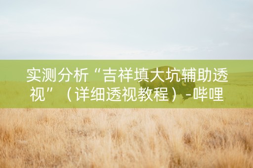 实测分析“吉祥填大坑辅助透视”（详细透视教程）-哔哩哔哩