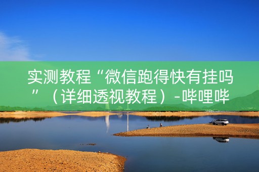 实测教程“微信跑得快有挂吗”（详细透视教程）-哔哩哔哩