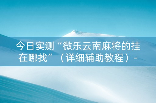 今日实测“微乐云南麻将的挂在哪找”（详细辅助教程）-哔哩哔哩