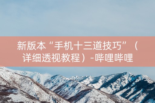新版本“手机十三道技巧”（详细透视教程）-哔哩哔哩