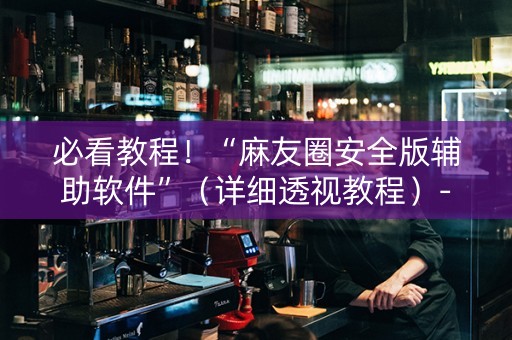 必看教程！“麻友圈安全版辅助软件”（详细透视教程）-哔哩哔哩