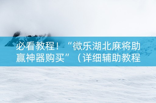 必看教程！“微乐湖北麻将助赢神器购买”（详细辅助教程）-哔哩哔哩