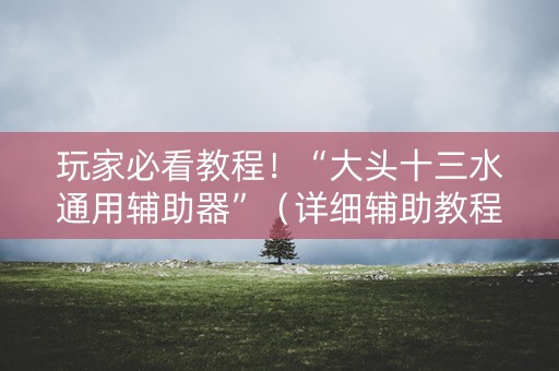 玩家必看教程！“大头十三水通用辅助器”（详细辅助教程）-哔哩哔哩
