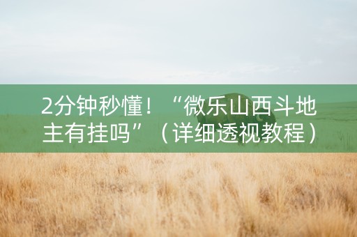 2分钟秒懂！“微乐山西斗地主有挂吗”（详细透视教程）-哔哩哔哩