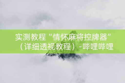 实测教程“情怀麻将控牌器”（详细透视教程）-哔哩哔哩