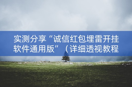 实测分享“诚信红包埋雷开挂软件通用版”（详细透视教程）-哔哩哔哩