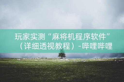 玩家实测“麻将机程序软件”（详细透视教程）-哔哩哔哩
