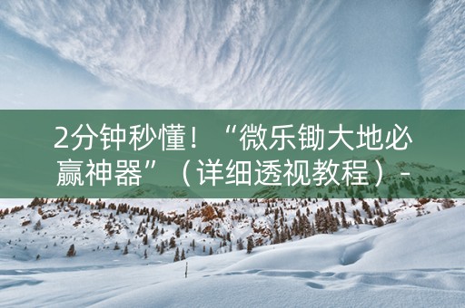 2分钟秒懂！“微乐锄大地必赢神器”（详细透视教程）-哔哩哔哩