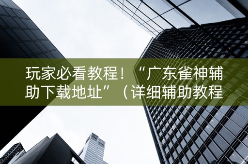 玩家必看教程！“广东雀神辅助下载地址”（详细辅助教程）-哔哩哔哩