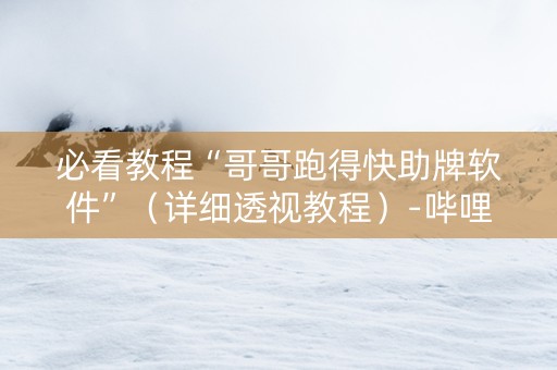 必看教程“哥哥跑得快助牌软件”（详细透视教程）-哔哩哔哩