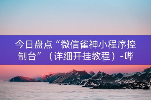 今日盘点“微信雀神小程序控制台”（详细开挂教程）-哔哩哔哩
