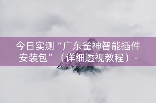 今日实测“广东雀神智能插件安装包”（详细透视教程）-哔哩哔哩