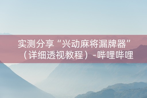 实测分享“兴动麻将漏牌器”（详细透视教程）-哔哩哔哩