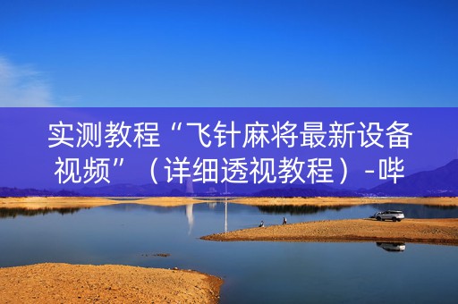 实测教程“飞针麻将最新设备视频”（详细透视教程）-哔哩哔哩