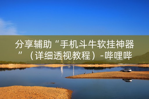 分享辅助“手机斗牛软挂神器”（详细透视教程）-哔哩哔哩