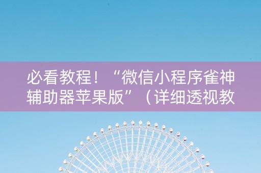 必看教程！“微信小程序雀神辅助器苹果版”（详细透视教程）-哔哩哔哩