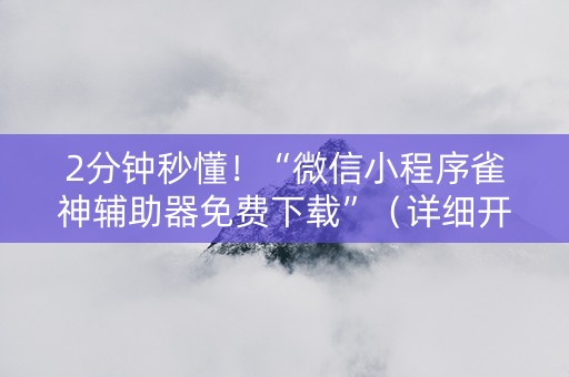 2分钟秒懂！“微信小程序雀神辅助器免费下载”（详细开挂教程）-哔哩哔哩