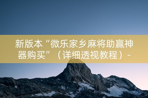 新版本“微乐家乡麻将助赢神器购买”（详细透视教程）-哔哩哔哩