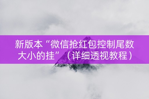 新版本“微信抢红包控制尾数大小的挂”（详细透视教程）-哔哩哔哩