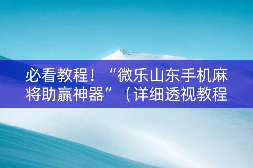 必看教程！“微乐山东手机麻将助赢神器”（详细透视教程）-哔哩哔哩