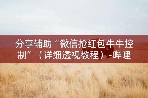 分享辅助“微信抢红包牛牛控制”（详细透视教程）-哔哩哔哩