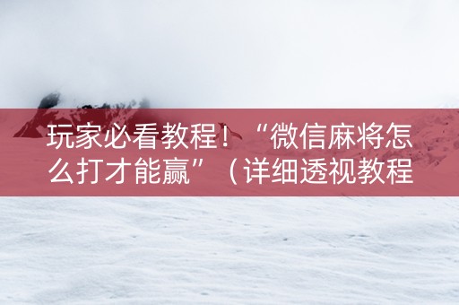 玩家必看教程！“微信麻将怎么打才能赢”（详细透视教程）-哔哩哔哩