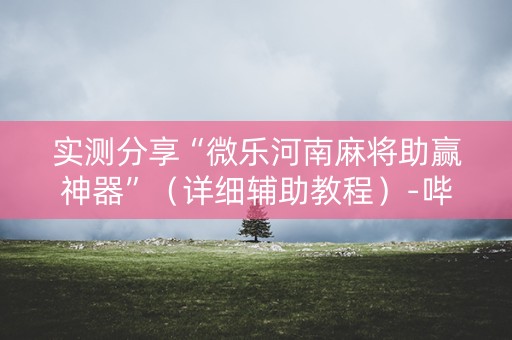 实测分享“微乐河南麻将助赢神器”（详细辅助教程）-哔哩哔哩