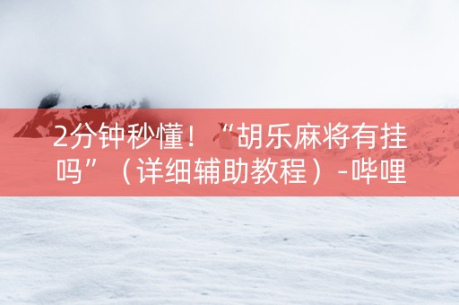 2分钟秒懂！“胡乐麻将有挂吗”（详细辅助教程）-哔哩哔哩