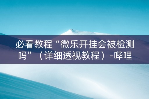 必看教程“微乐开挂会被检测吗”（详细透视教程）-哔哩哔哩