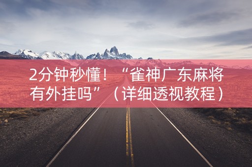 2分钟秒懂！“雀神广东麻将有外挂吗”（详细透视教程）-哔哩哔哩