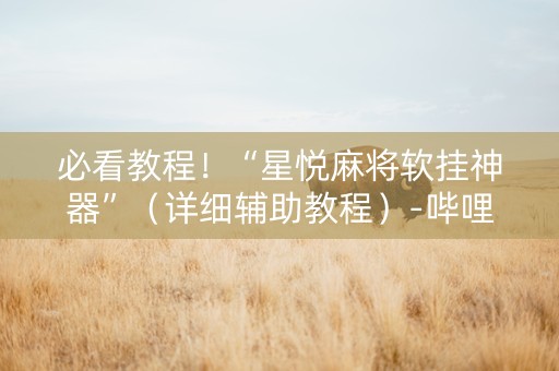 必看教程！“星悦麻将软挂神器”（详细辅助教程）-哔哩哔哩