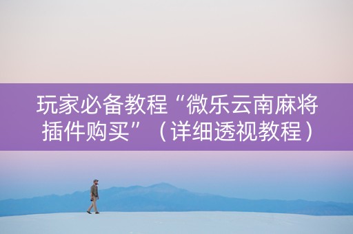 玩家必备教程“微乐云南麻将插件购买”（详细透视教程）-哔哩哔哩