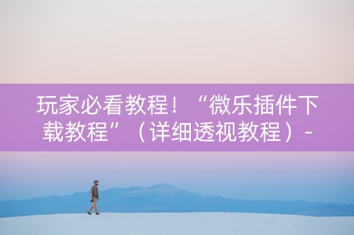 玩家必看教程！“微乐插件下载教程”（详细透视教程）-哔哩哔哩