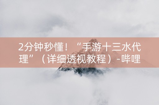 2分钟秒懂！“手游十三水代理”（详细透视教程）-哔哩哔哩