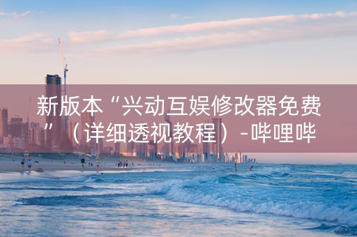 新版本“兴动互娱修改器免费”（详细透视教程）-哔哩哔哩